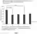 Fig. 08 - COMPOSITION FOR TYPE IV ALLERGY