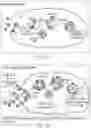 Fig. 02 - SYSTEMS AND METHODS FOR LYSOSOME INDUCED IMMUNOGENIC CELL DEATH
