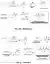 Fig. 04 - Compositions useful in therapy of autophagy-related pathologies, and methods of making and using the same