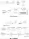 Fig. 05 - Compositions useful in therapy of autophagy-related pathologies, and methods of making and using the same