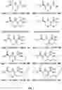 Fig. 06 - Compositions useful in therapy of autophagy-related pathologies, and methods of making and using the same