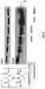 Fig. 07 - Compositions useful in therapy of autophagy-related pathologies, and methods of making and using the same