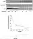 Fig. 09 - Compositions useful in therapy of autophagy-related pathologies, and methods of making and using the same