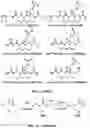 Fig. 11 - Compositions useful in therapy of autophagy-related pathologies, and methods of making and using the same
