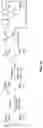 Fig. 18 - Compositions useful in therapy of autophagy-related pathologies, and methods of making and using the same
