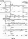 Fig. 24 - Compositions useful in therapy of autophagy-related pathologies, and methods of making and using the same