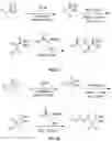 Fig. 27 - Compositions useful in therapy of autophagy-related pathologies, and methods of making and using the same