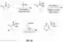 Fig. 28 - Compositions useful in therapy of autophagy-related pathologies, and methods of making and using the same