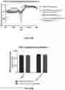 Fig. 35 - Compositions useful in therapy of autophagy-related pathologies, and methods of making and using the same