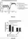 Fig. 36 - Compositions useful in therapy of autophagy-related pathologies, and methods of making and using the same