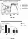 Fig. 38 - Compositions useful in therapy of autophagy-related pathologies, and methods of making and using the same