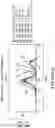 Fig. 32 - ALLOGENEIC T-CELLS AND METHODS FOR PRODUCTION THEREOF