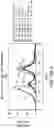 Fig. 40 - ALLOGENEIC T-CELLS AND METHODS FOR PRODUCTION THEREOF