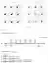 Fig. 06 - Peptide Nucleic Acid Complex Having Endosomal Escape Capacity, And Use Thereof