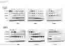 Fig. 21 - Peptide Nucleic Acid Complex Having Endosomal Escape Capacity, And Use Thereof