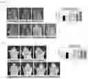 Fig. 22 - Peptide Nucleic Acid Complex Having Endosomal Escape Capacity, And Use Thereof