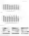Fig. 27 - Peptide Nucleic Acid Complex Having Endosomal Escape Capacity, And Use Thereof