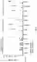 Fig. 16 - Viral vectors encoding cancer/testis antigens for use in a method of prevention or treatment of cancer
