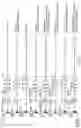 Fig. 19 - Viral vectors encoding cancer/testis antigens for use in a method of prevention or treatment of cancer
