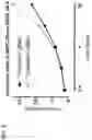 Fig. 04 - Compositions and methods for genomic editing by insertion of donor polynucleotides