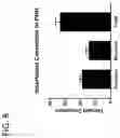 Fig. 09 - Compositions and methods for genomic editing by insertion of donor polynucleotides