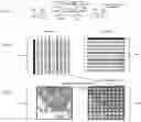 Fig. 08 - Methods and systems for determining spatial patterns of biological targets in a sample