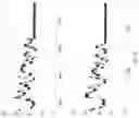 Fig. 06 - Enzyme method