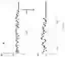 Fig. 07 - Enzyme method