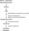 Fig. 01 - PREPARATION OF DNA SEQUENCING LIBRARIES FOR DETECTION OF DNA PATHOGENS IN PLASMA