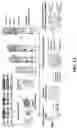 Fig. 02 - Methods of in vivo evaluation of gene function