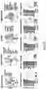 Fig. 06 - Methods of in vivo evaluation of gene function