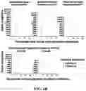Fig. 12 - Methods of in vivo evaluation of gene function
