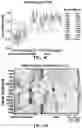 Fig. 13 - Methods of in vivo evaluation of gene function