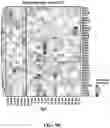 Fig. 17 - Methods of in vivo evaluation of gene function