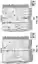 Fig. 18 - Methods of in vivo evaluation of gene function