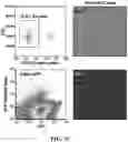 Fig. 23 - Methods of in vivo evaluation of gene function