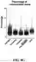 Fig. 27 - Methods of in vivo evaluation of gene function