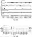 Fig. 28 - Methods of in vivo evaluation of gene function