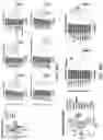 Fig. 30 - Methods of in vivo evaluation of gene function