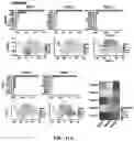 Fig. 33 - Methods of in vivo evaluation of gene function