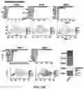 Fig. 37 - Methods of in vivo evaluation of gene function