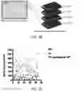 Fig. 06 - GENETIC VARIANT PANELS AND METHODS OF GENERATION AND USE THEREOF
