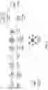 Fig. 09 - GENETIC VARIANT PANELS AND METHODS OF GENERATION AND USE THEREOF