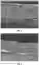 Fig. 02 - METHOD FOR PROCESSING SKINS