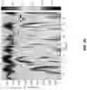 Fig. 09 - Method, apparatus, and system for fall-down detection based on a wireless signal