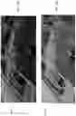 Fig. 22 - Systems and methods for modeling structures using point clouds derived from stereoscopic image pairs