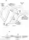 Fig. 02 - Polar stroking for vector graphics