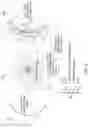 Fig. 09 - Polar stroking for vector graphics