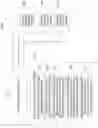 Fig. 04 - Symmetrically encrypt a master passphrase key