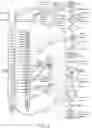 Fig. 06 - SYSTEMS AND METHODS FOR ASSESSING THE EFFICACY OF NEUROMODULATION THERAPY